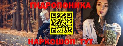 бошки Донецк