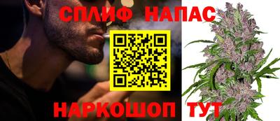 бошки Донецк