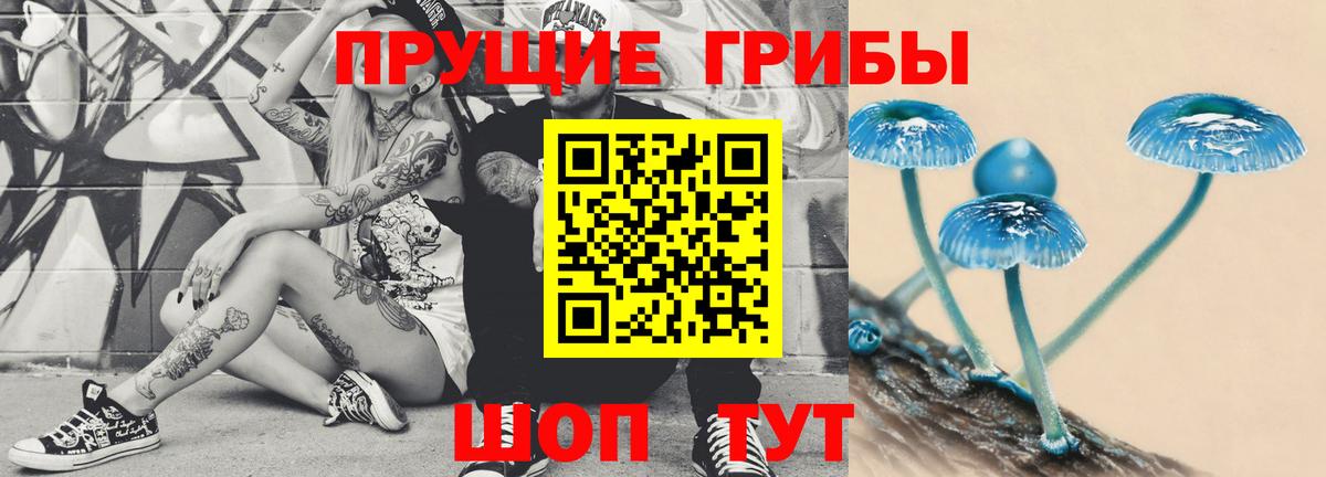 Псилоцибиновые грибы мицелий Михайловка