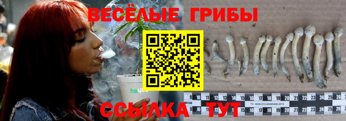 Михайловка  Галлюциногенные грибы GOLDEN TEACHER  Вход с VPN 